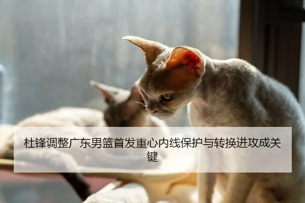 杜锋调整广东男篮首发重心内线保护与转换进攻成关键